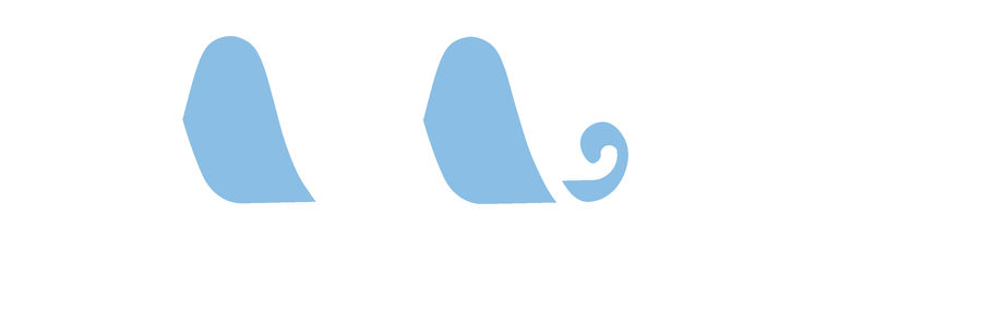 Mira Halı Yıkama